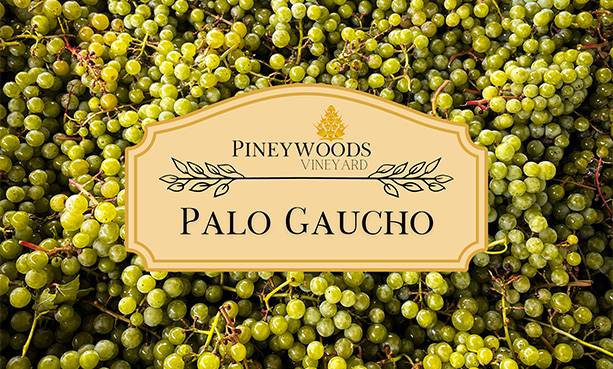 Palo Gaucho wine club level