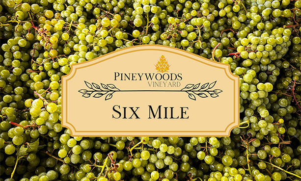 Six Mile wine club level