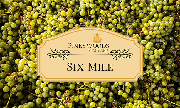 Six Mile wine club level