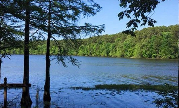 Explore The Outdoors near Pineywoods Vineyard